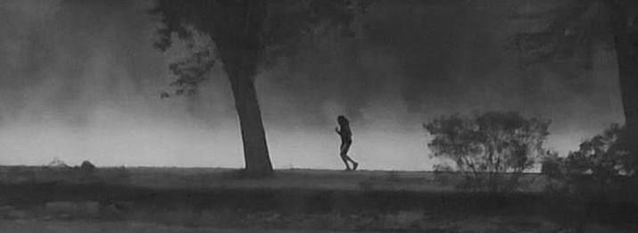 Woman runs early along a river bank.